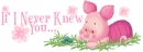 if i never knew you