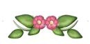 Nature Divider