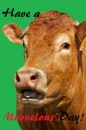 Have a moovelous day!
