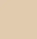 Plain Light Coffee