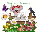 chrissi