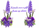 friendship 