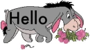 Hello 