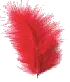 pluma
