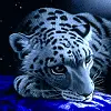 gatito lindo xD