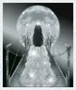 Moon Goddess