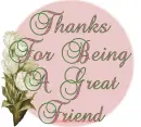 Thanks for being my friend