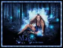 Magic In The Forest