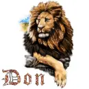 Don