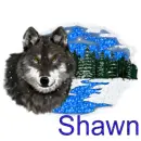 shawn