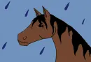 Rainy Day