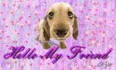 Hello My Friend