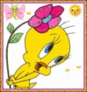 Tweety Love