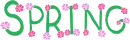 spring