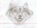 a wolf's life 