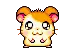 Cute hamster