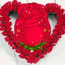rose