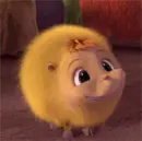 yellow fluffy thing