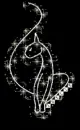 Black BabyPhat on Black
