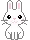 cute bunny