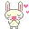 loving bunny