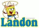 Landon