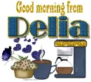 Blue Coffee - Delia