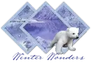 Winter Wonders Polar Bear
