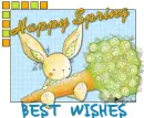 Best Wishes Rabbit
