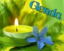 GLenda