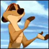 timon
