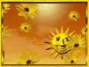 Sun Shimmer