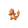 Pokemon dude