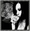 Gothic Rose