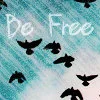 Black Birds in Sky