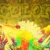Color