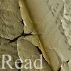 Read a Book