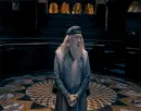 DUMBLEDORE