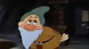 bashful
