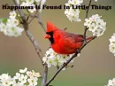 Cardinal
