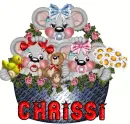 chrissi