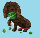 Saint Patrick's Day Puppy
