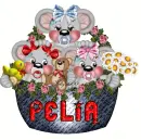 pelia