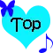 Blue Top