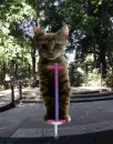 pogo stick kitty