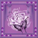 Purple Butterfly & Lady Frame