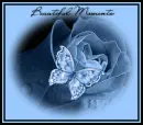 Beautiful Moments 