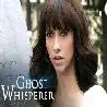 GHOST WHISPERER