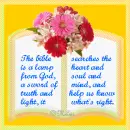 bible