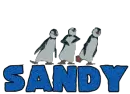 Sandy Penguins